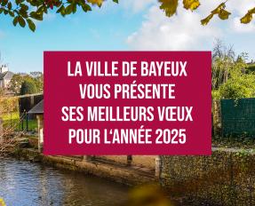 Voeux 2025