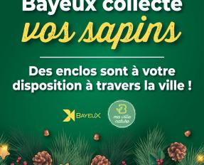 visuel sapins