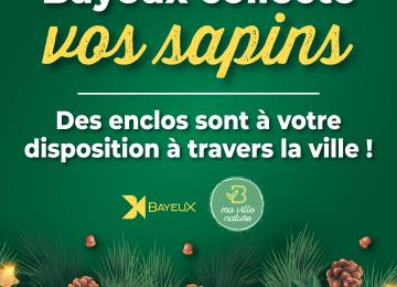 visuel sapins